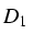 $D_{1}$